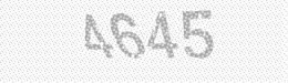 Visual security code — type the characters shown in the image