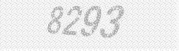 Visual security code — type the characters shown in the image